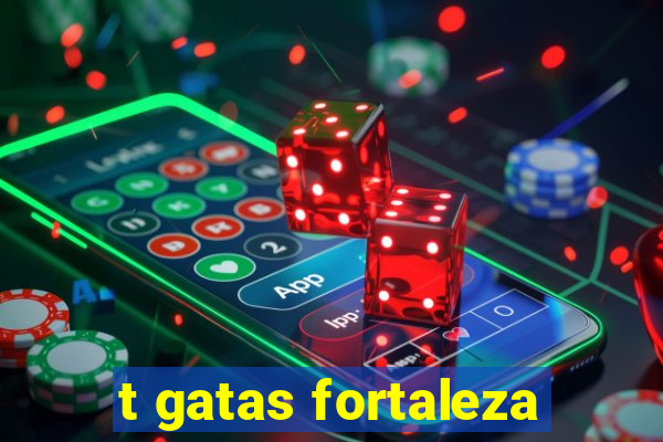 t gatas fortaleza